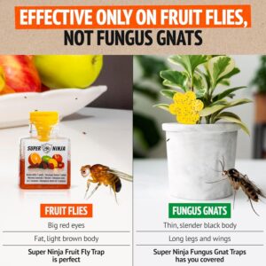 Super Ninja Fruit Fly Traps – 2 Pack, Effective Fruit Fly Killer for Home & Kitchen, Up to 3 Weeks Protection, Child & Pet Friendly