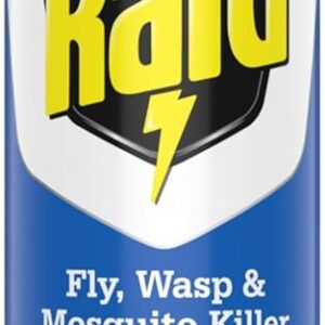 Raid Plant-Based Wasp & Mosquito Killer Spray โ 300ml | Naturally Derived Botanical Ingredients, Indoor Use